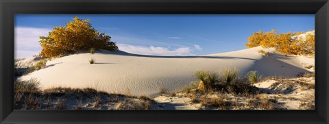 Framed Desert plants in White Sands National Monument, New Mexico Print