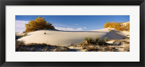 Framed Desert plants in White Sands National Monument, New Mexico Print