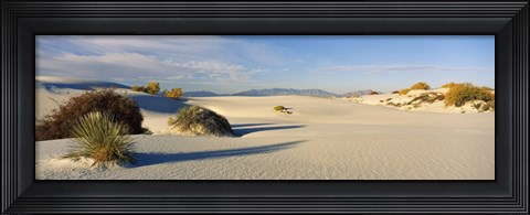 Framed Desert plants in a desert, White Sands National Monument, New Mexico, USA Print