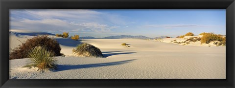 Framed Desert plants in a desert, White Sands National Monument, New Mexico, USA Print