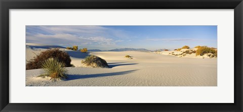 Framed Desert plants in a desert, White Sands National Monument, New Mexico, USA Print