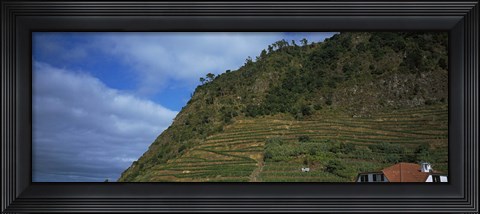 Framed Low angle view of terraced fields on a mountain, Ponta Delgada, Madeira, Portugal Print