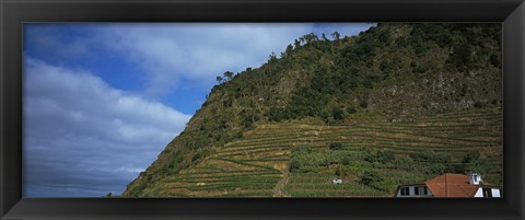 Framed Low angle view of terraced fields on a mountain, Ponta Delgada, Madeira, Portugal Print