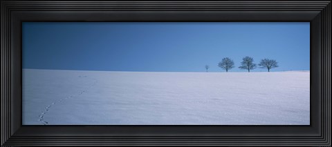 Framed Footprints on a snow covered landscape, St. Peter, Black Forest, Germany Print