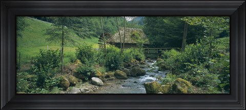 Framed River flowing through forest, Black Forest, Glottertal, Germany Print