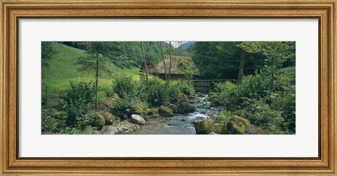 Framed River flowing through forest, Black Forest, Glottertal, Germany Print