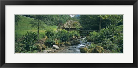 Framed River flowing through forest, Black Forest, Glottertal, Germany Print