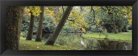 Framed Trees near a pond in a park, Vondelpark, Amsterdam, Netherlands Print