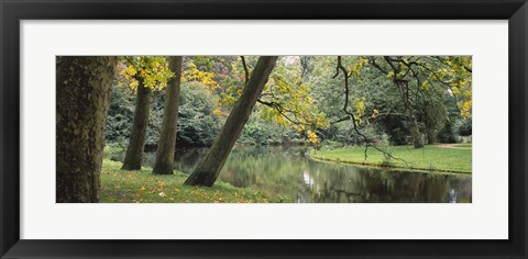 Framed Trees near a pond in a park, Vondelpark, Amsterdam, Netherlands Print