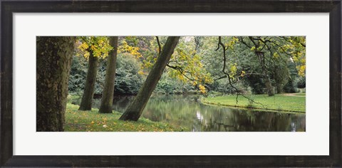 Framed Trees near a pond in a park, Vondelpark, Amsterdam, Netherlands Print