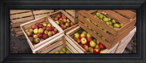 Framed High angle view of harvested apples in wooden crates, Weinsberg, Baden-Wurttemberg, Germany Print