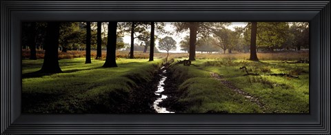Framed Stream passing through a park, Richmond Park, London, England Print