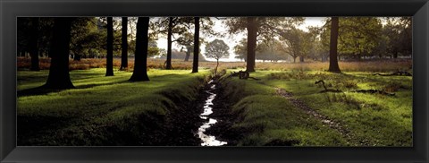 Framed Stream passing through a park, Richmond Park, London, England Print