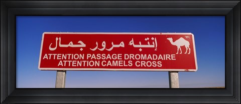 Framed Low angle view of a camel crossing signboard, Douz, Tunisia Print