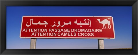 Framed Low angle view of a camel crossing signboard, Douz, Tunisia Print