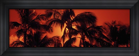 Framed Palm trees at dusk, Kalapaki Beach, Hawaii Print