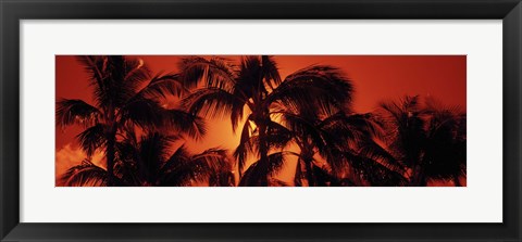 Framed Palm trees at dusk, Kalapaki Beach, Hawaii Print