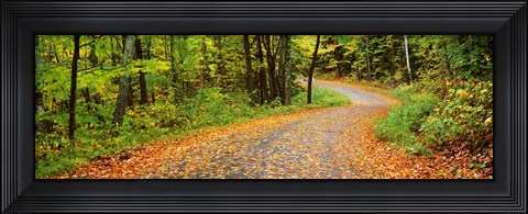 Framed Road passing through a forest, Country Road, Peacham, Caledonia County, Vermont, USA Print