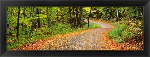 Framed Road passing through a forest, Country Road, Peacham, Caledonia County, Vermont, USA Print