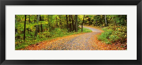 Framed Road passing through a forest, Country Road, Peacham, Caledonia County, Vermont, USA Print