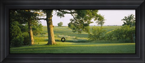 Framed Tire swing on a tree Print