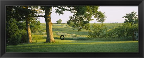 Framed Tire swing on a tree Print