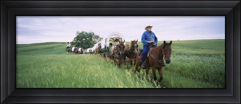 Framed Historical reenactment of covered wagons in a field, North Dakota, USA Print