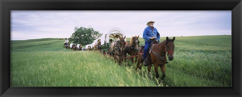 Framed Historical reenactment of covered wagons in a field, North Dakota, USA Print