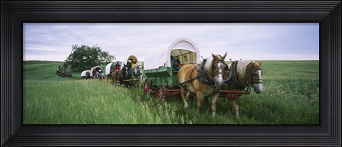 Framed Historical reenactment, Covered wagons in a field, North Dakota, USA Print