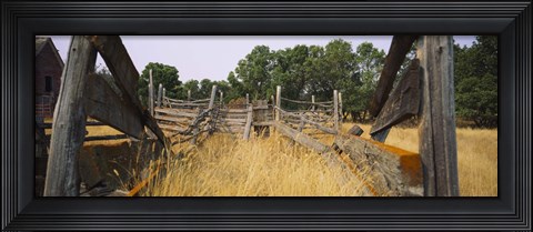 Framed Ranch cattle chute in a field, North Dakota, USA Print