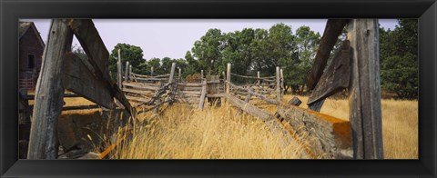 Framed Ranch cattle chute in a field, North Dakota, USA Print