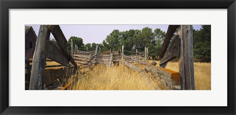 Framed Ranch cattle chute in a field, North Dakota, USA Print