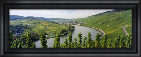 Framed Vineyards along a river, Moselle River, Mosel-Saar-Ruwer, Germany Print