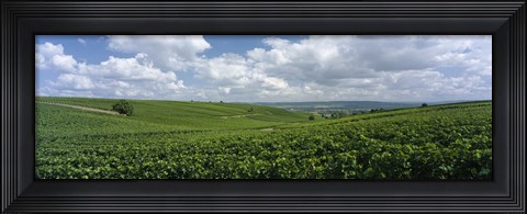 Framed Clouds over vineyards, Mainz, Rhineland-Palatinate, Germany Print