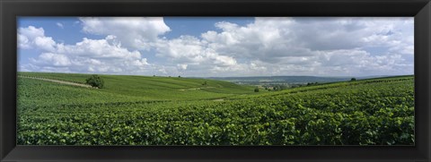 Framed Clouds over vineyards, Mainz, Rhineland-Palatinate, Germany Print