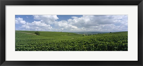 Framed Clouds over vineyards, Mainz, Rhineland-Palatinate, Germany Print