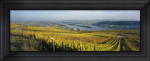 Framed Vineyards near a town, Rudesheim, Rheingau, Germany Print