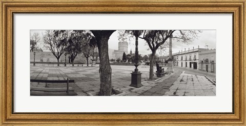 Framed Trees in front of a building, Alameda Vieja, Jerez, Cadiz, Spain Print