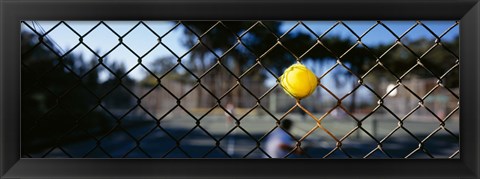 Framed Close-up of a tennis ball stuck in a fence, San Francisco, California, USA Print