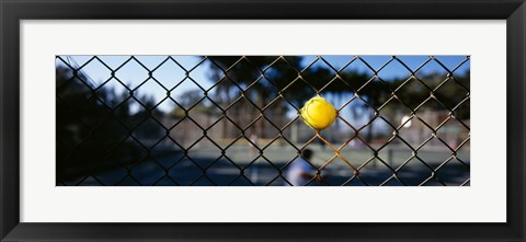 Framed Close-up of a tennis ball stuck in a fence, San Francisco, California, USA Print