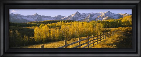 Framed Trees in a field near a wooden fence, Dallas Divide, San Juan Mountains, Colorado Print