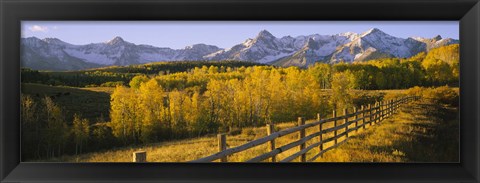 Framed Trees in a field near a wooden fence, Dallas Divide, San Juan Mountains, Colorado Print