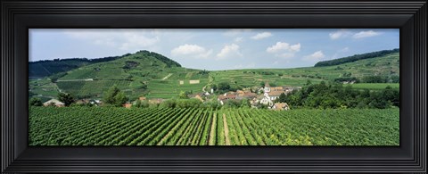 Framed Vineyards near a village, Oberbergen, Der Vogelsangpass, Bereich Kaiserstuhl, Baden-Wurttemberg, Germany Print