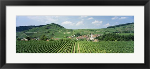 Framed Vineyards near a village, Oberbergen, Der Vogelsangpass, Bereich Kaiserstuhl, Baden-Wurttemberg, Germany Print