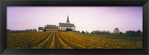 Framed Vineyard with a church in the background, Hochheim, Rheingau, Germany Print