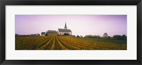 Framed Vineyard with a church in the background, Hochheim, Rheingau, Germany Print