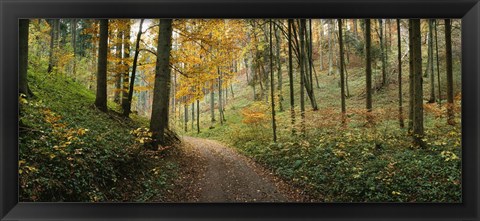 Framed Road passing through a forest, Baden-Wurttemberg, Germany Print