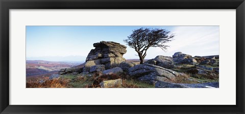 Framed Bare tree near rocks, Haytor Rocks, Dartmoor, Devon, England Print