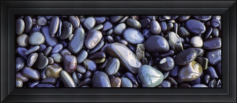 Framed Close-up of pebbles, Sandymouth Beach, Cornwall, England Print