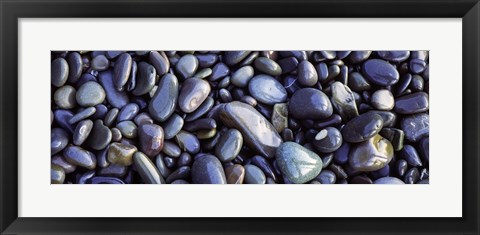 Framed Close-up of pebbles, Sandymouth Beach, Cornwall, England Print